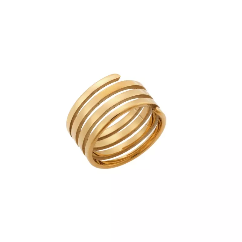 Δαχτυλίδι Senza Steel Gold Plated