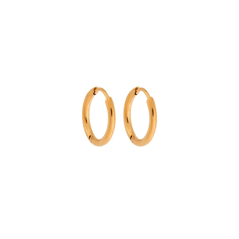 Σκουλαρίκια Γυναικεία SENZA Gold Plated Steel, κρικάκι 1.5 cm
